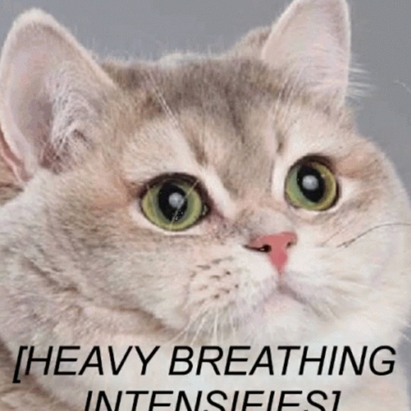 Meet your Posher, Sarah - Picture 1 of 1